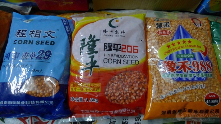 2012玉米种大评选浚单29国审省审双审定系出名门值得信赖