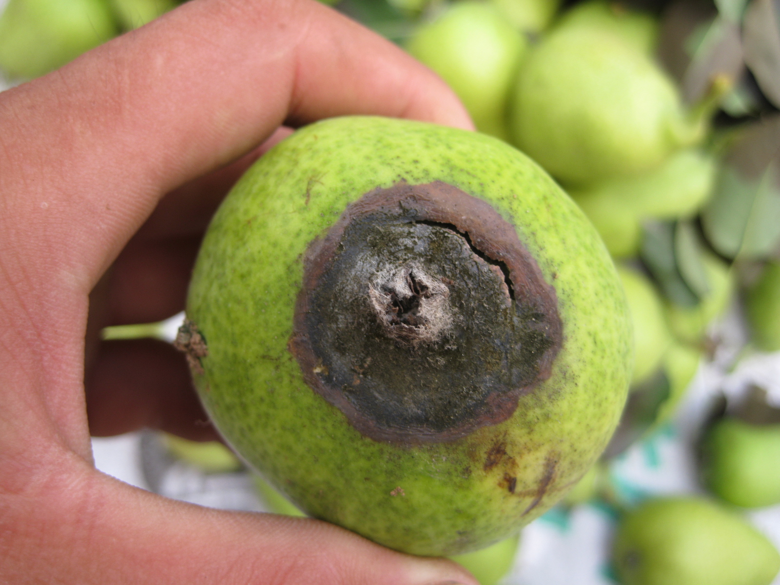 莱州合强的个人主页