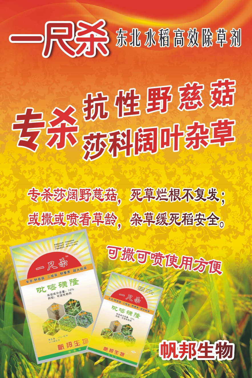 水田野慈姑特效药