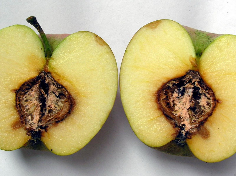 一帆风顺的黄玉栋的个人主页