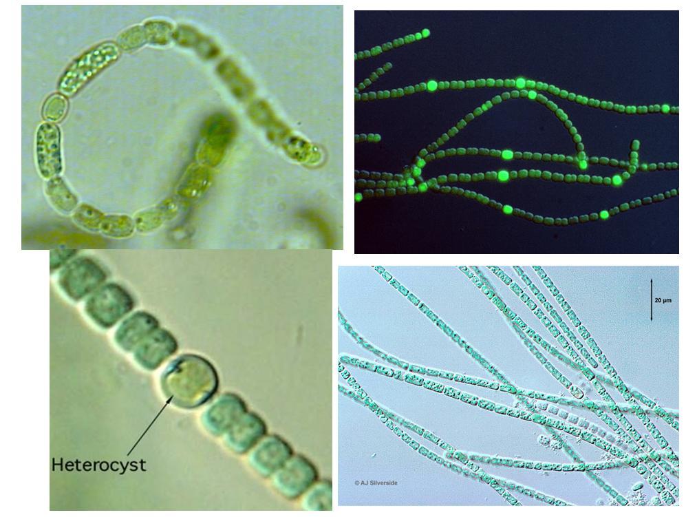 i8581735的个人主页