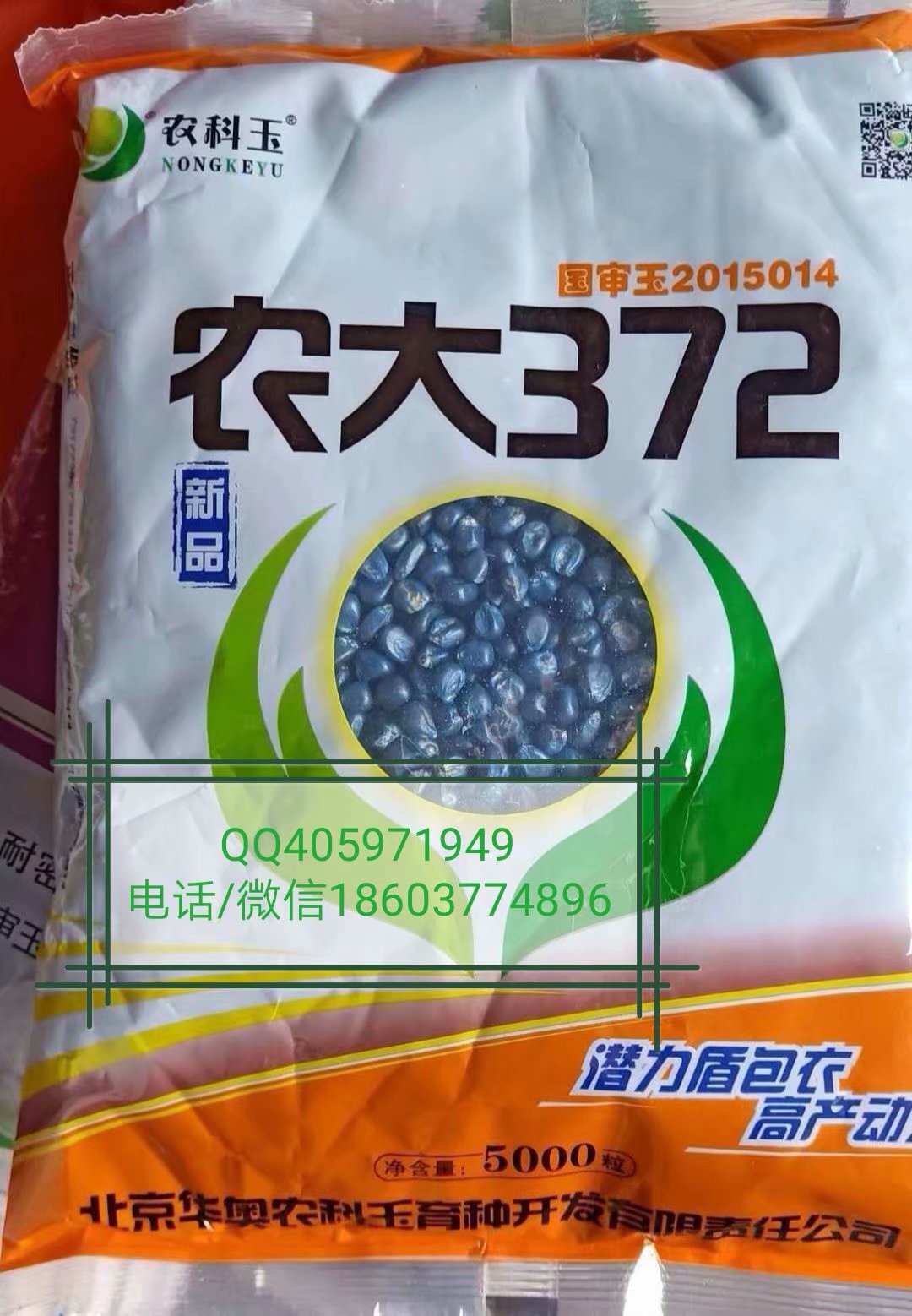 供應東單1331碩秋702農大778秋樂618裕豐303蠡玉16中科玉505玉米種子