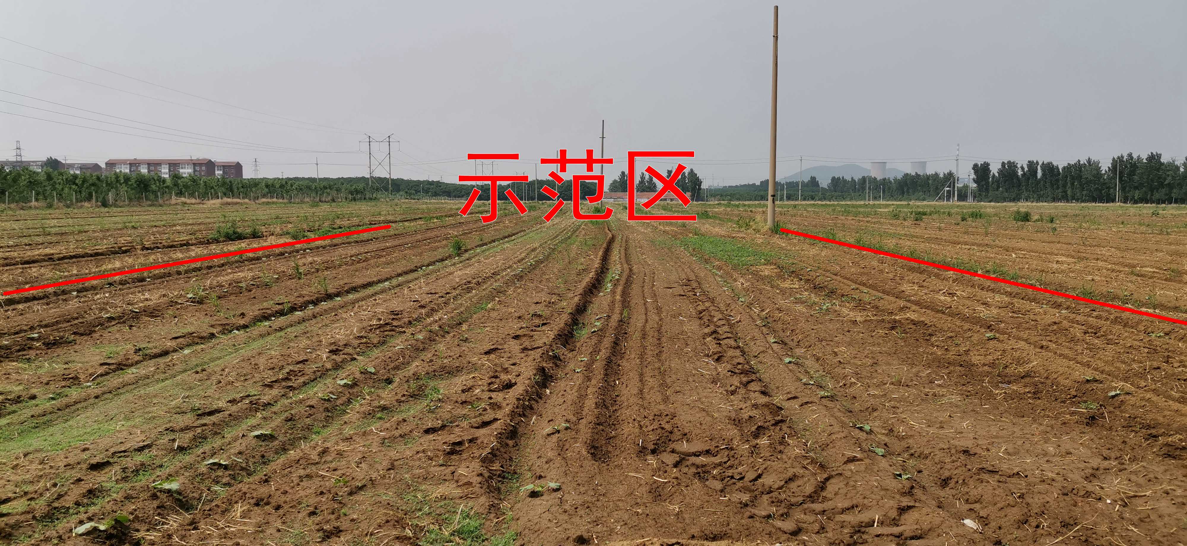 南瓜使用蛋白核酸灌根增产示范 实验示范 191农资人 农技社区服务平台