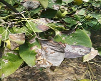 ����������ʲô����������������ۣ�