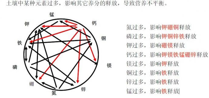 养分之间的竞争与拮抗图文解说清晰明了