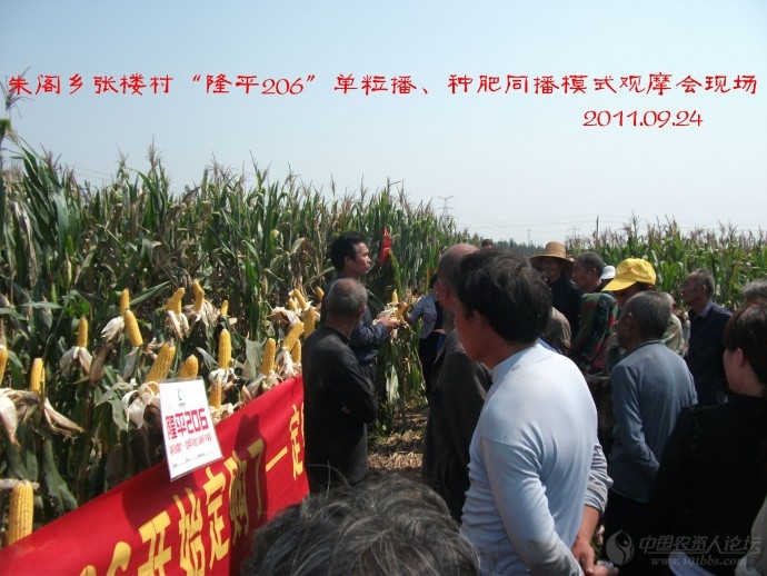 【2012*玉米种大评选】隆平高科种业公司的"隆平206"