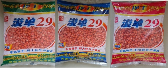 【2012*玉米种大评选】浚单29 国审,省审双审定,系出名门,值得信赖.