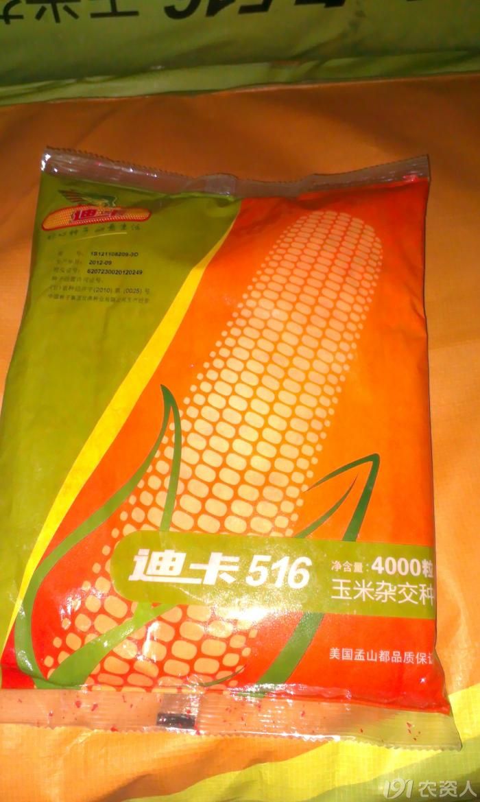 迪卡c9640玉米种子图片