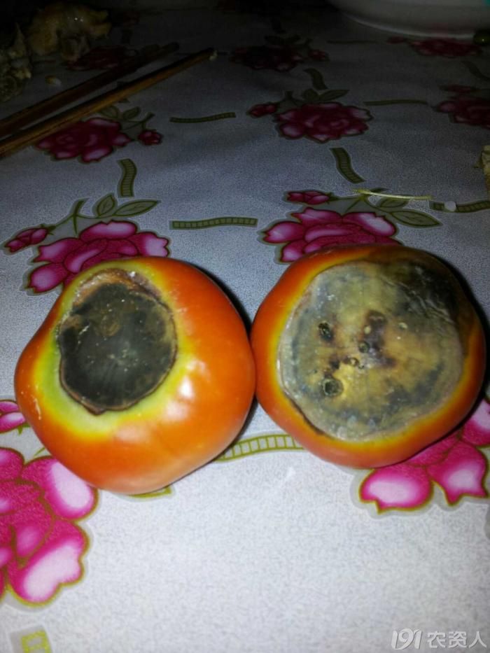 [番茄]西红柿烂了,肿么办