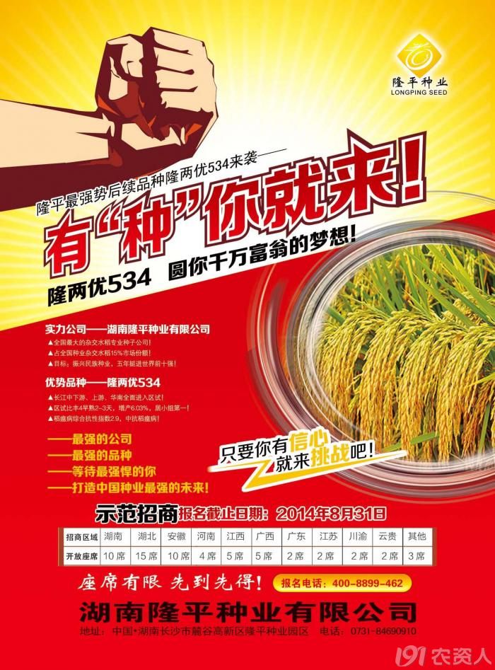 隆平种业最强势后续品种隆两优534示范招商