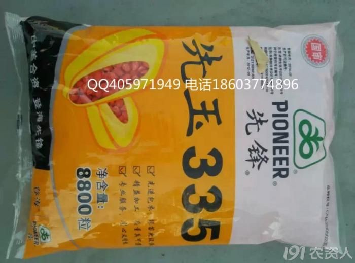 12正大999蠡玉16隆平206登海605中科11农华101济单7号先玉335玉米种子