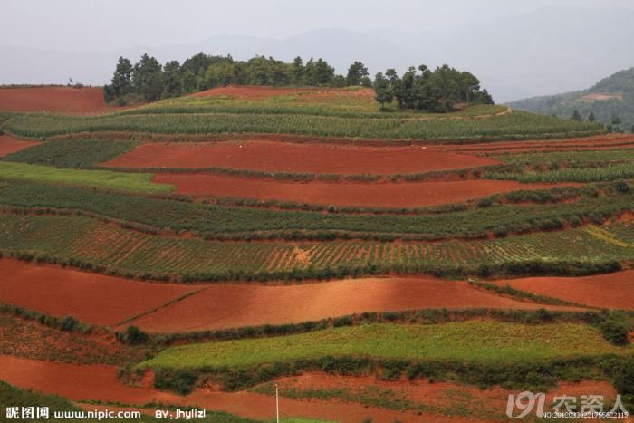 酸性土壤及盐碱地解决方案