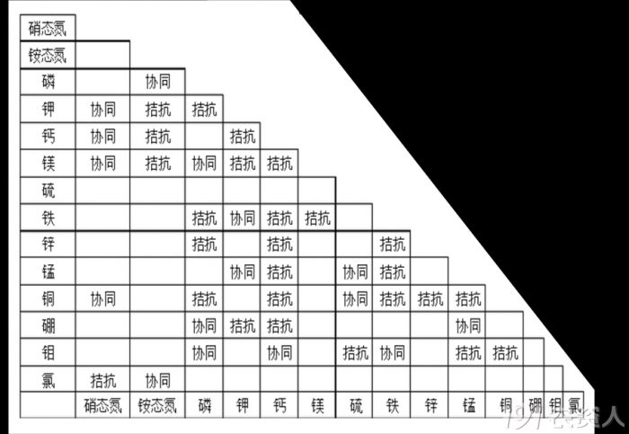 来看看各种元素之间的协调与拮抗