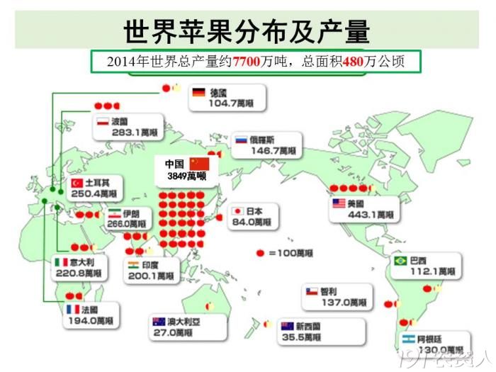 中国苹果产业的那些事