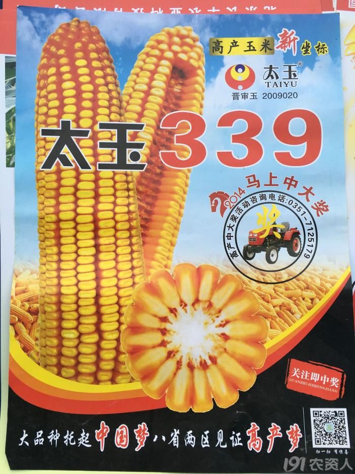 红轴高产玉米品种太玉339