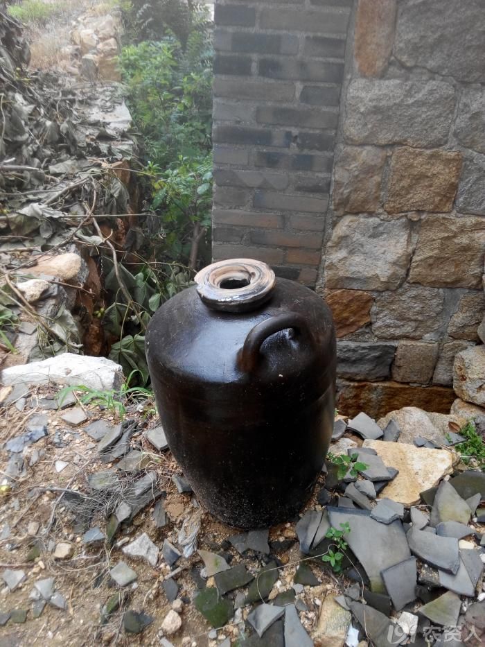 【星光璀璨】 【阿兮随笔】氨水坛子的记忆