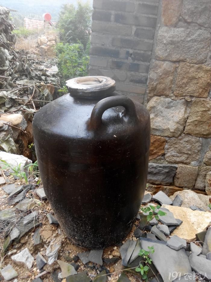 【星光璀璨】 【阿兮随笔】氨水坛子的记忆