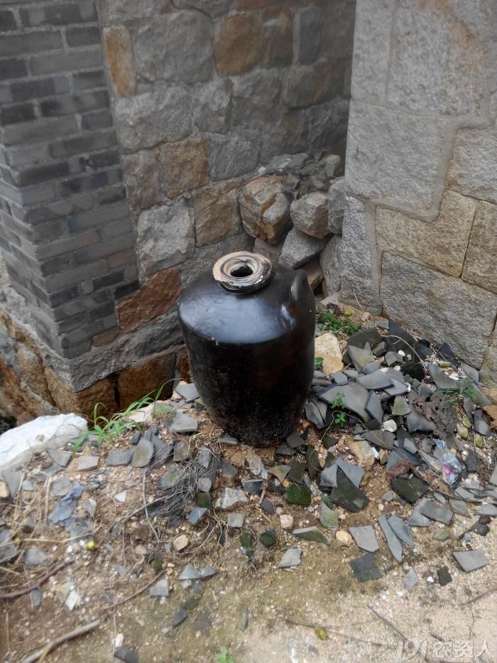 【星光璀璨】 【阿兮随笔】氨水坛子的记忆