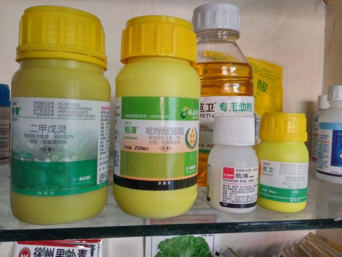 关于巴斯夫欧帕03,稻清03申领试用样品发放情况说明