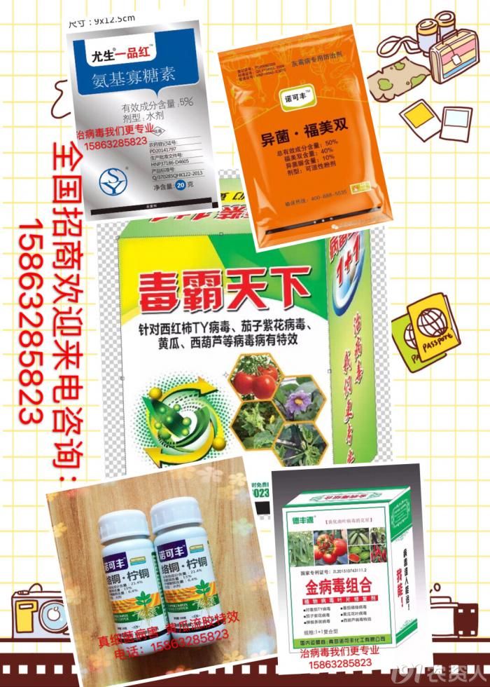 灰霉病白粉黄瓜流胶病毒病特效药