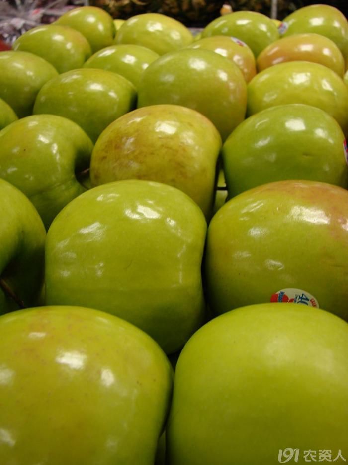 苹果品种之八 02青苹