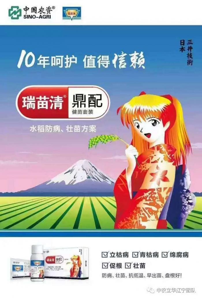 一,覆完顶土使用瑞苗清1毫升/平方米,稀释2000倍液,浇淋