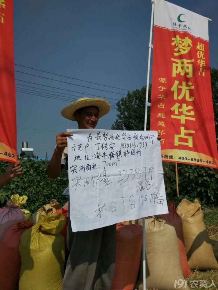 隆平高科水稻部巨作三4001s华占梦两优华占超优华占