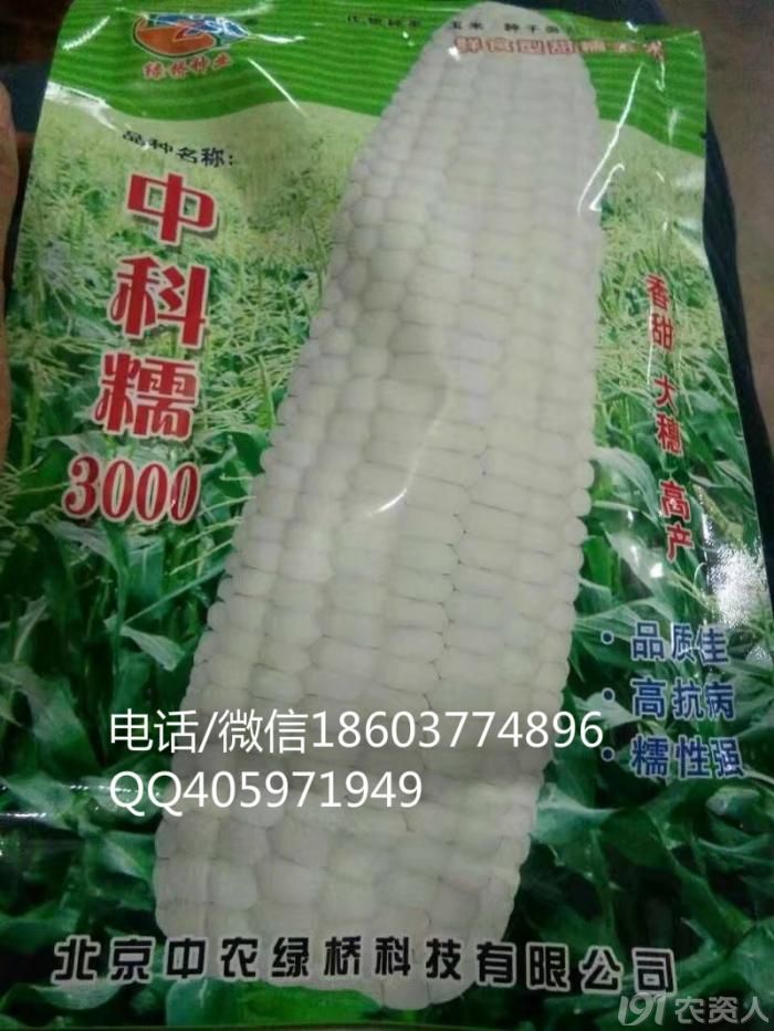 303蠡玉16隆平206登海605伟科702蠡玉88大丰30汉单777华农138玉米种子