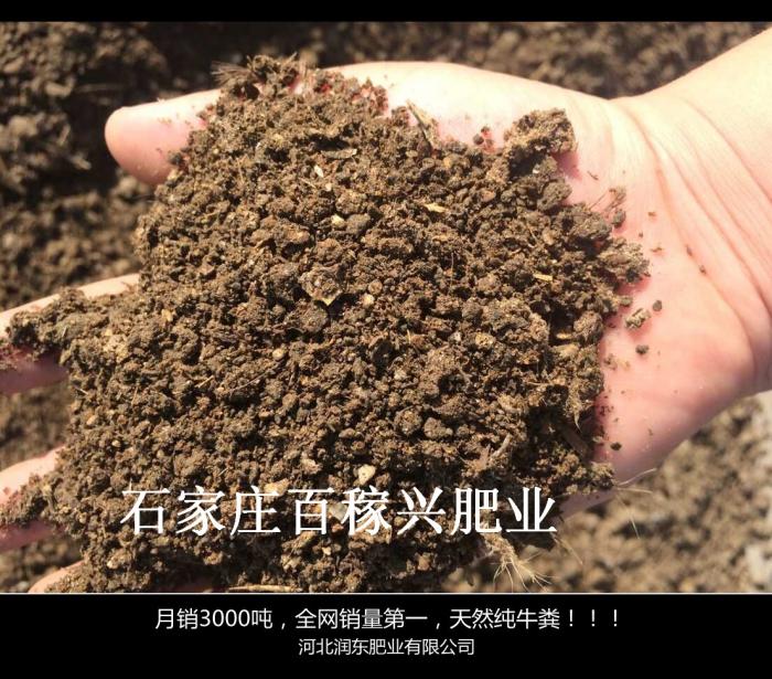 牛糞批發 純幹牛糞有機肥多少錢一噸 牛糞的好處