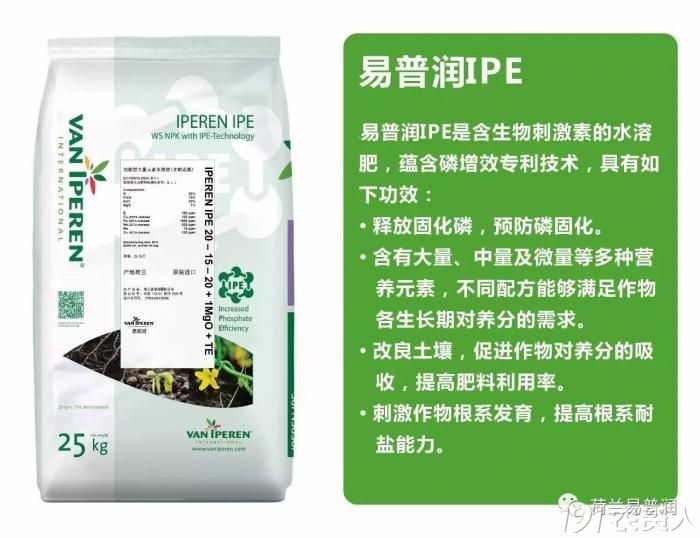 作物失"磷",怎么办?