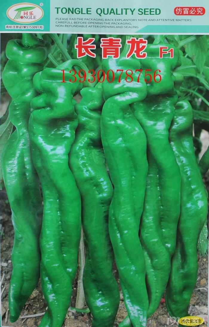 种辣椒当选适销对路品种