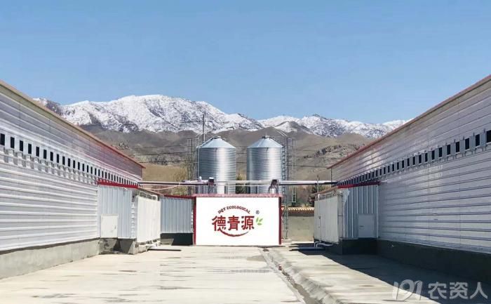 基地合作方是北京德青源农业科技股份有限公司,是北京最大的蛋鸡养殖