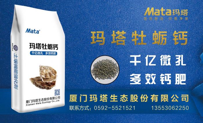 玛塔牡蛎钙探究来自大海的优质钙