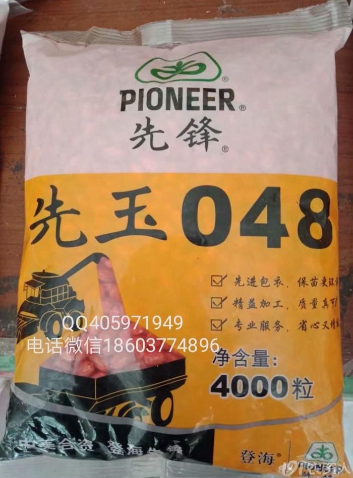 供應先玉335裕豐303蠡玉16隆平206登海605偉科702蠡玉88大豐30漢單777