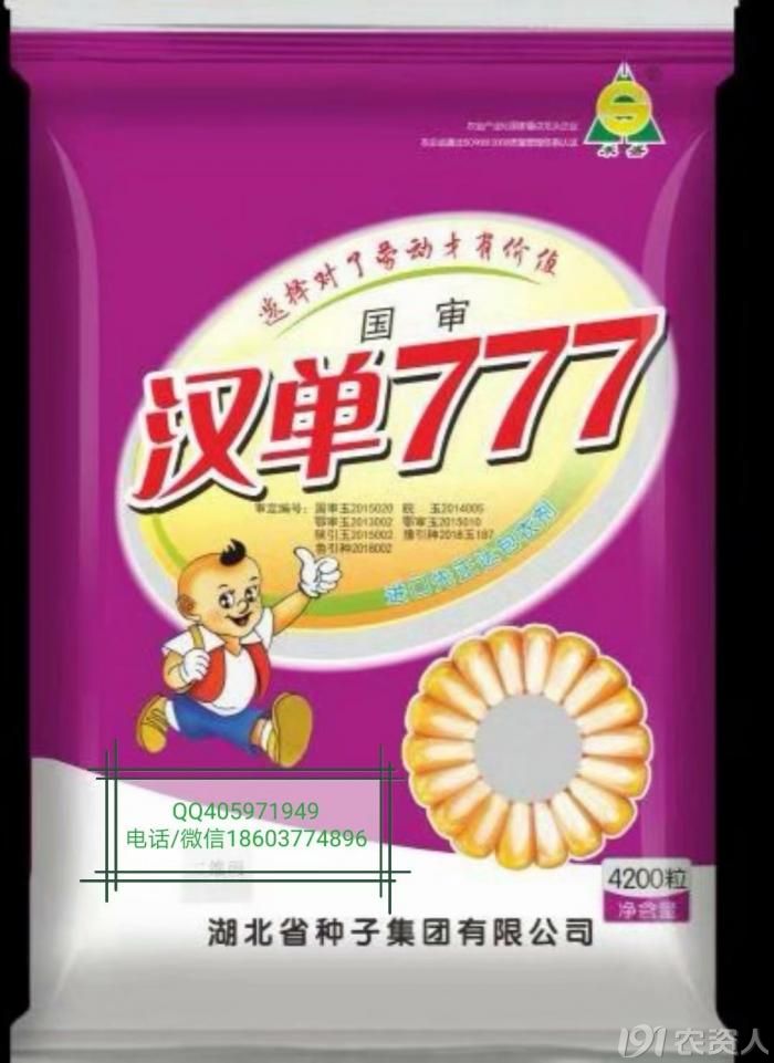 供應先玉335裕豐303蠡玉16隆平206登海605偉科702蠡玉88大豐30漢單777