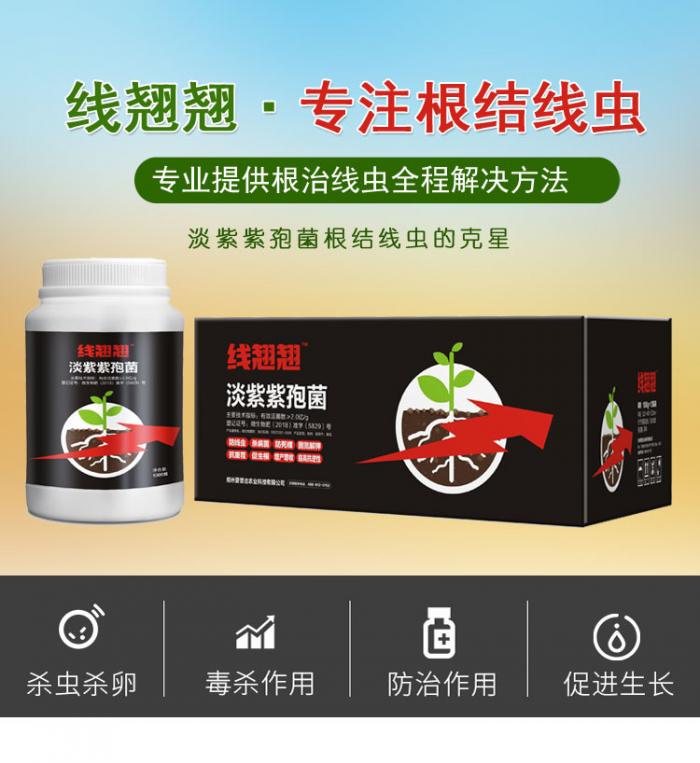 根结线虫专用药线翘翘针对大棚蔬菜中药材果树经济作物